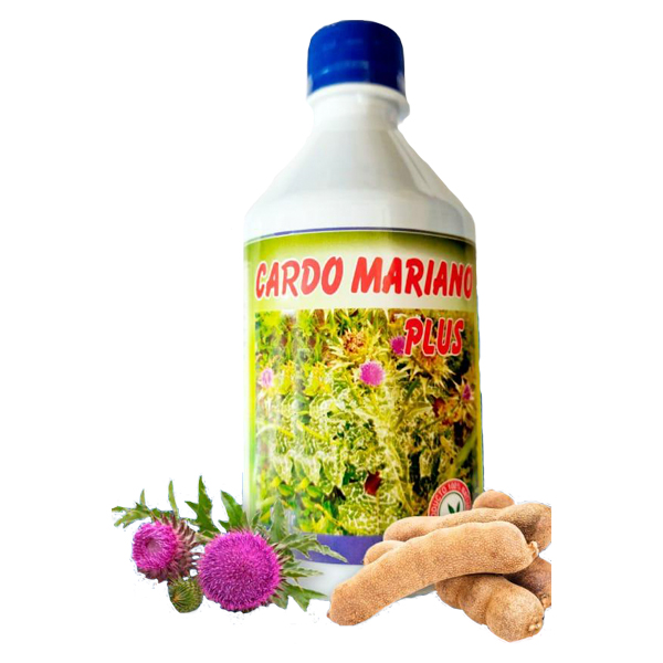 Jarabe Cardo Mariano