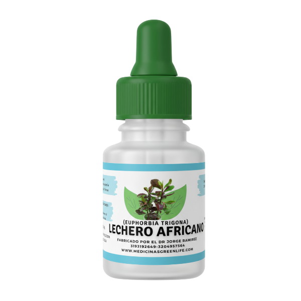 Gotas de Lechero Africano